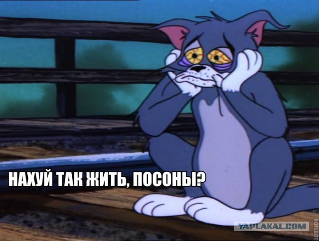 Мы не успели