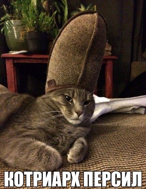 Субботняя деградация