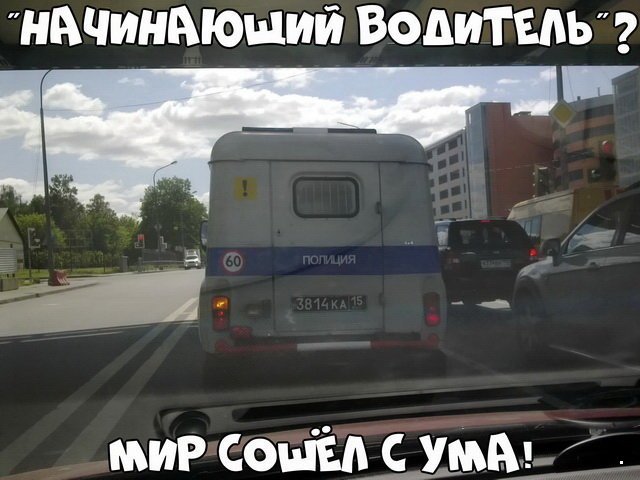 Прикольные картинки абавсём