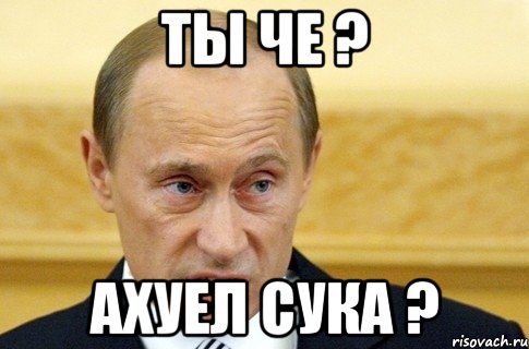 Итоги проверки пользователей