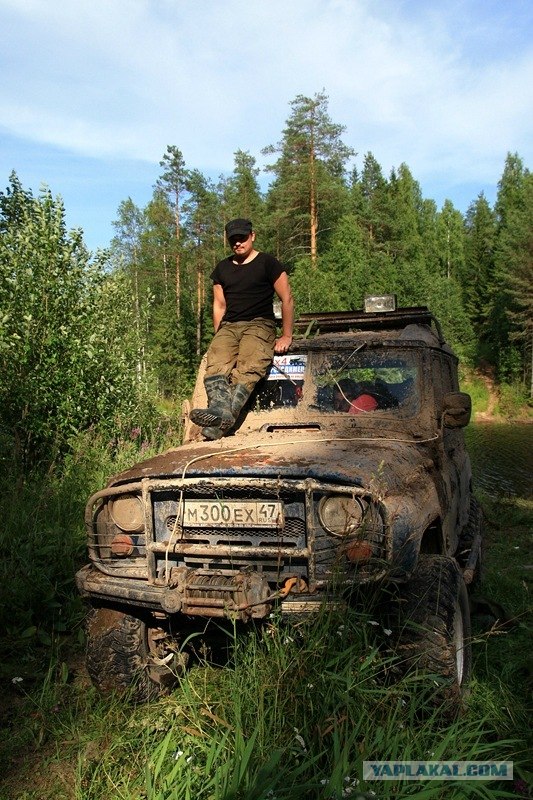 Проходимцы Веппского леса