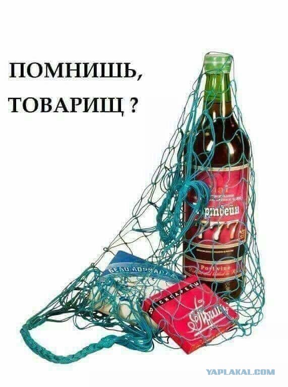 Трезвый расчёт: за пять лет число страдающих алкоголизмом в России снизилось на 22%