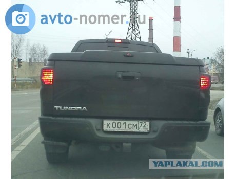 Правительство на другой планете живёт,  родной