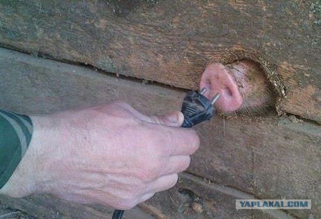 Девушки и элипиздричество
