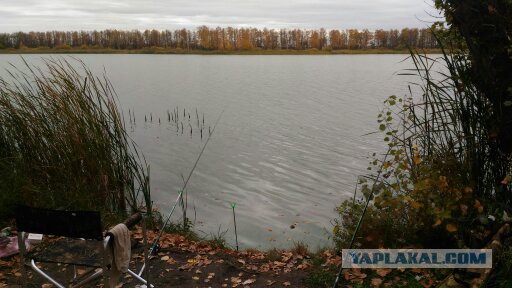 Соскучился по рыбалке