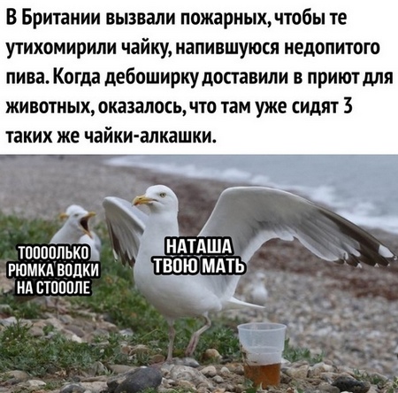 Почему мужчина обязан отдавать зарплату жене?