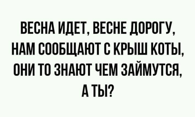 Анекдоты, соц-сети и картинки с надписями
