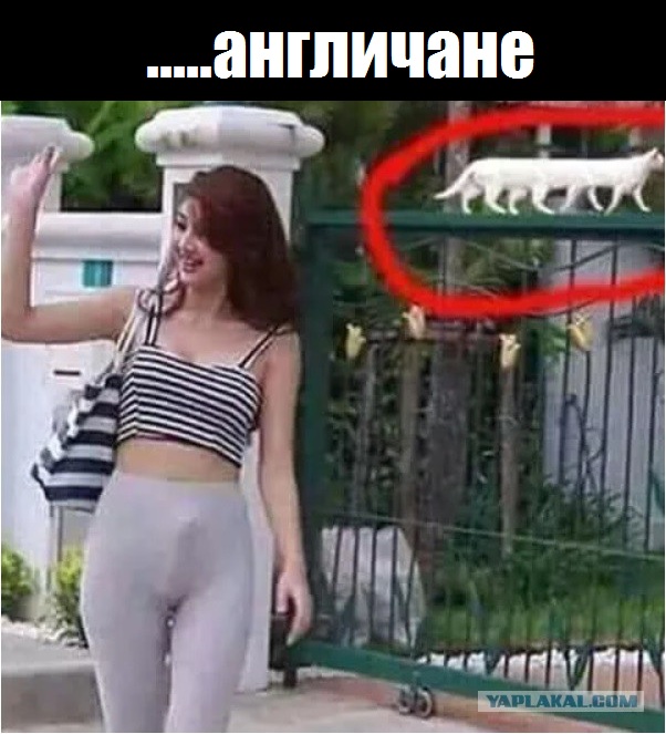 Немного картинок на вечер