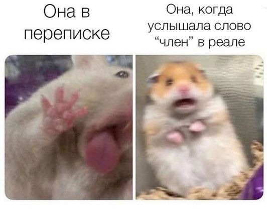 Чудеса рядом