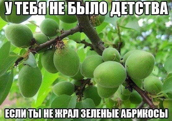 Веселые картинки