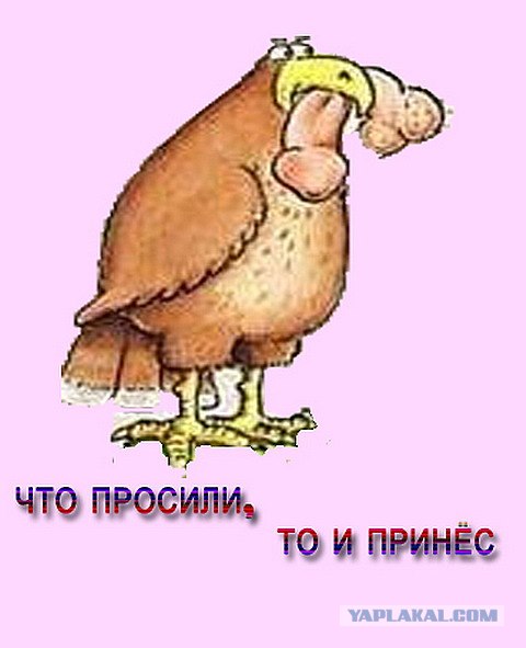 Я несу хуйню