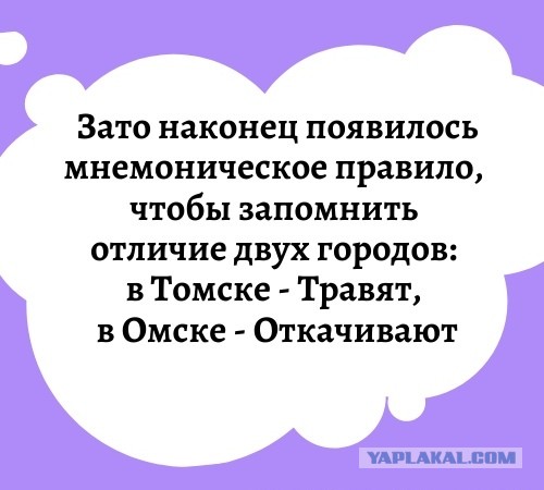 В Омск за Алексеем Навальным прибыл спецборт из Германии, но забрать политика не разрешают врачи