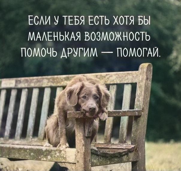 Картинки разные