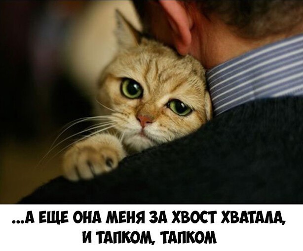 Немного картинок в пятницу