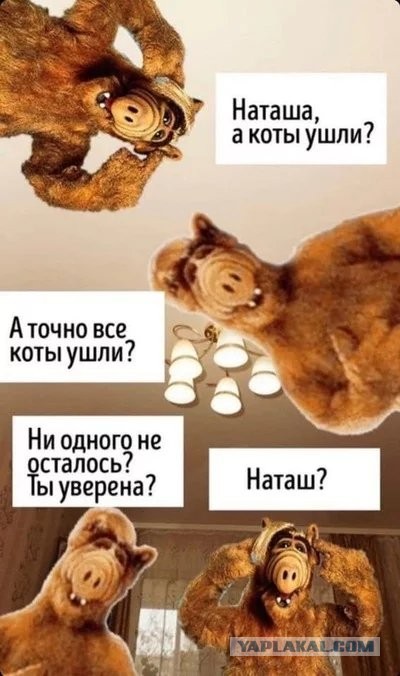 Бредзона 22.11.20
