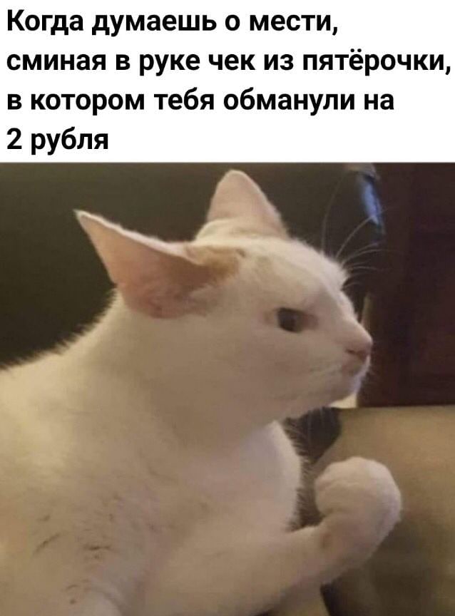 Картинки и всякие жизненные фразы