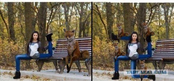 Таксидермия + наркомания