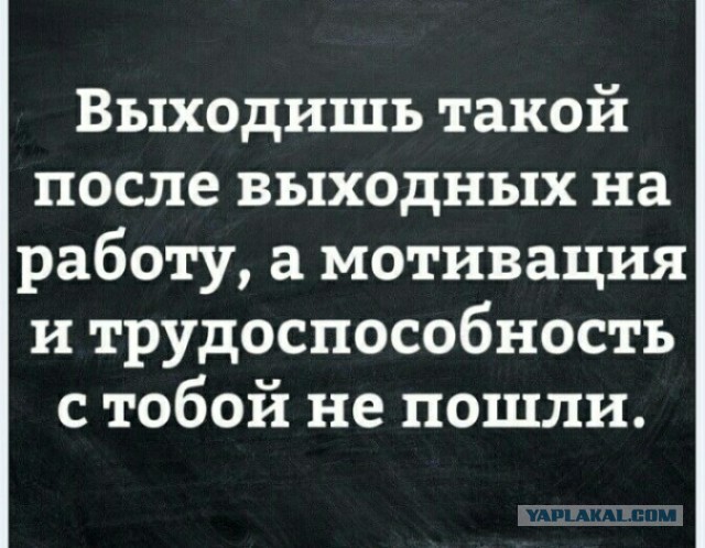 Так себе картинки 08.02.21