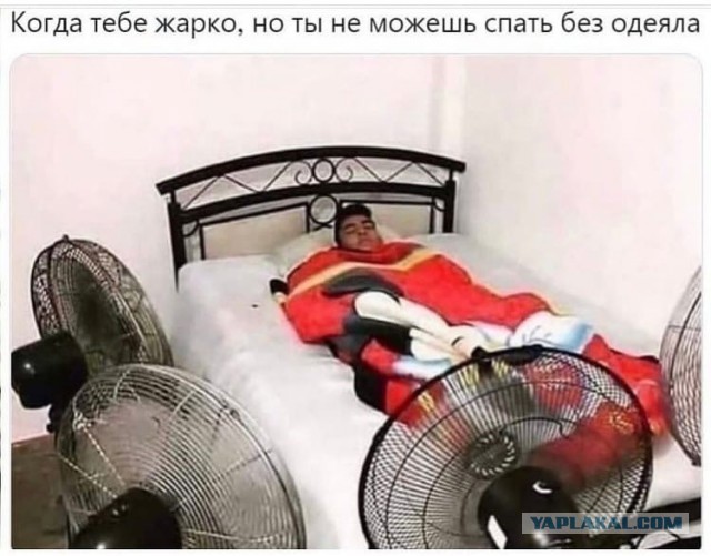 Так себе картинки 03.08.21