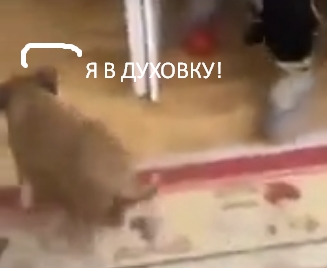 Ты же сказал прожаренный!