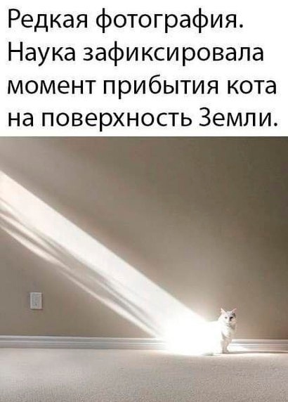 Так себе картинки 11.09.21