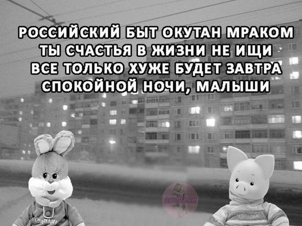 Весёлый полтишок 03.02