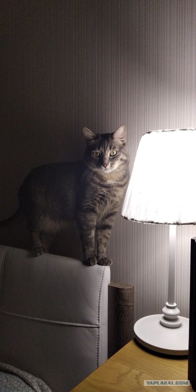 Котовторниковское