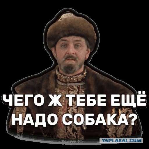 Зрелость & Спелость