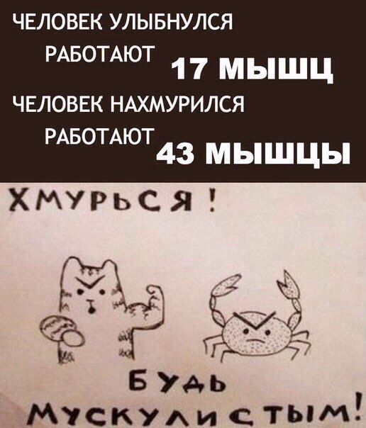 Мемы разные нужны, мемы разные важны!