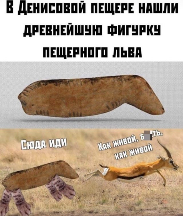 Так себе картинки 10.09.22