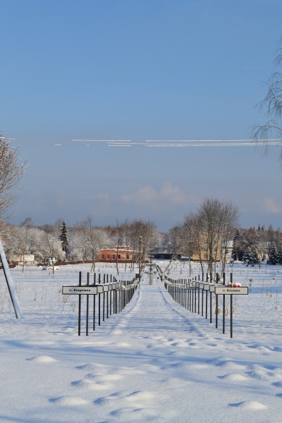 Чернобыль. Припять. Боль