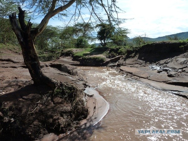 AFRICA - (Эфиопия,Кения,Танзация) 4-16 ноября 2011