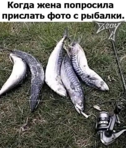 Прикольные и просто красивые картинки 25.11.2022