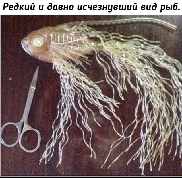 Так себе картинки 26.01.23