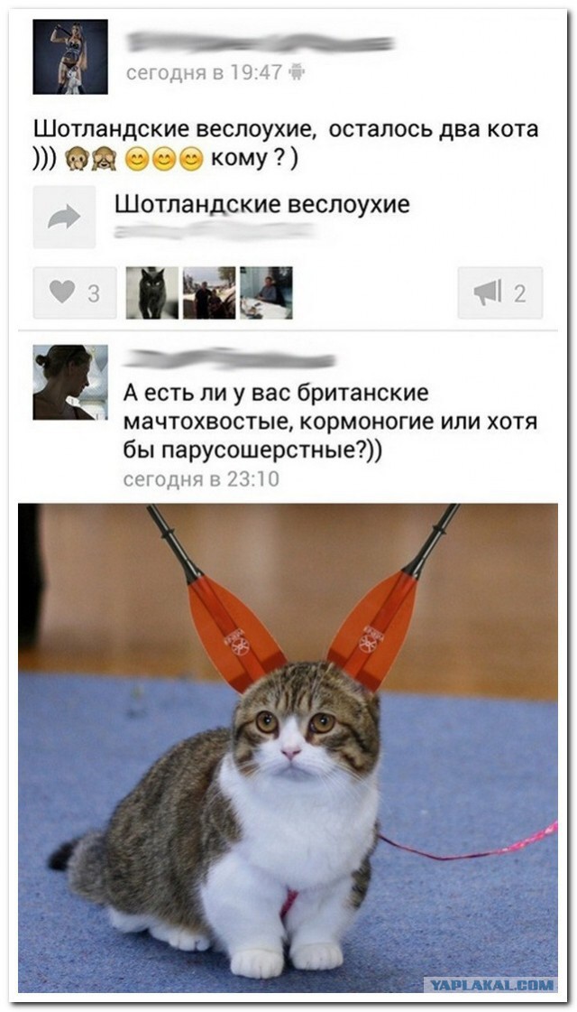 Налетай! Халявные бойаны!