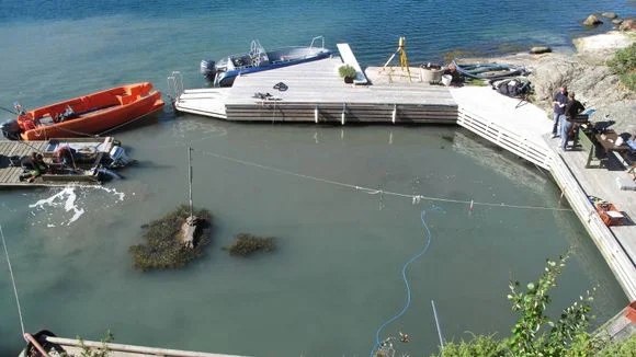 «Леди из моря» — её возраст 9 тысяч лет. Загадка древнего черепа