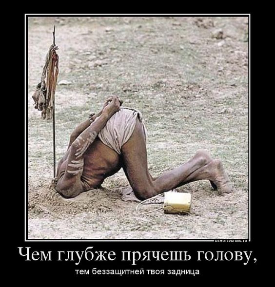 Прикольные и просто красивые картинки 23.05.2023