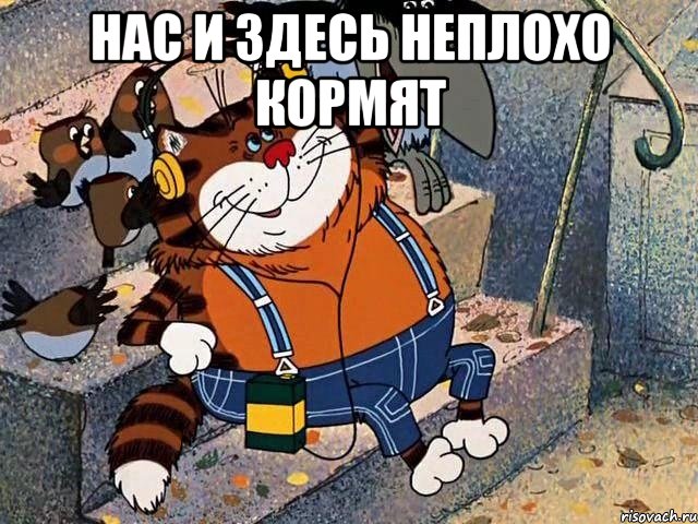 Геноцид без войны