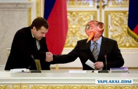 Меня в духовку?!