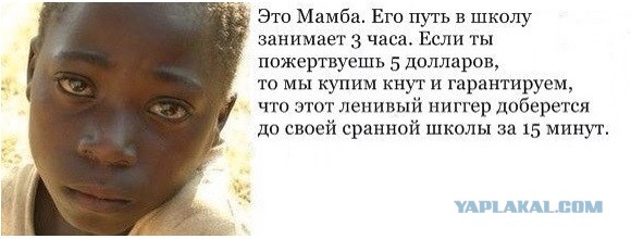 Студия Disney потеряла на своих последних ЛГБТ-релизах очень много денег