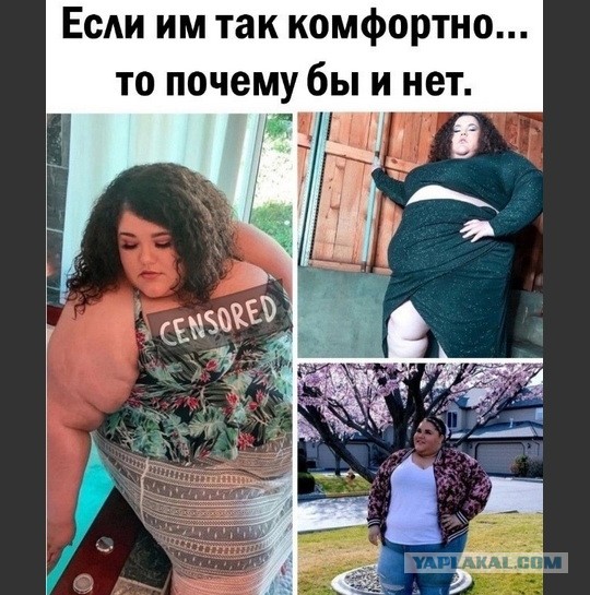 Скупка краденого из сети 09-08-2023