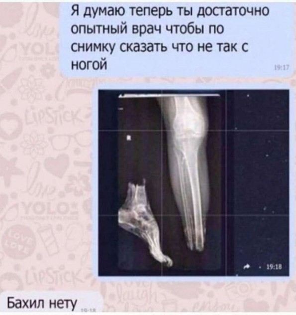 Три десятка забавных картинок на экватор недели