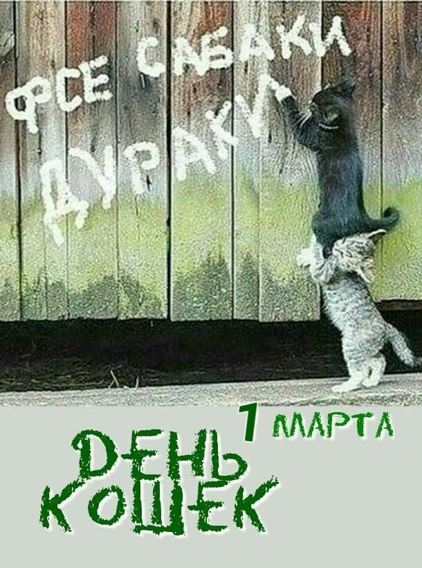 Котенок по имени Кусь)