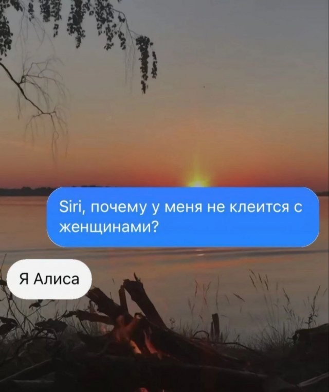 Забавные комментарии из социальных сетей (25.03.24)
