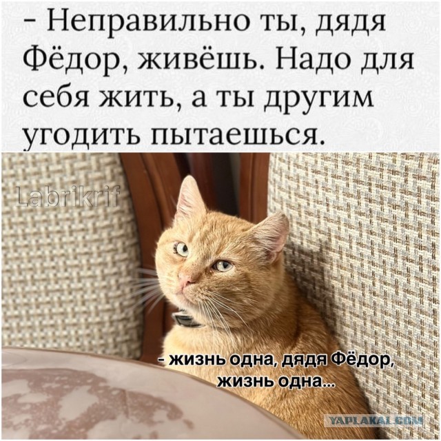 ТРРРидцать тРРРи от 23 апРРРеля