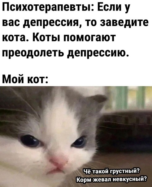 Всего понемногу. От 31.05.2024