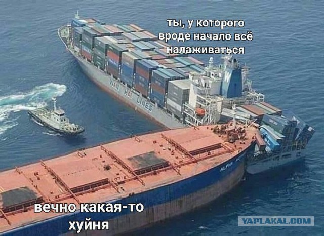 Никакие картинки