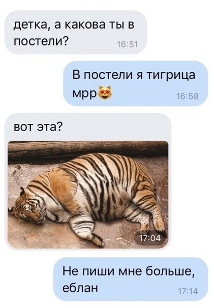 Так себе картинки 15.07.24