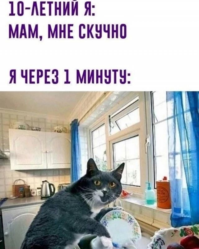Отряд быстрой деградации