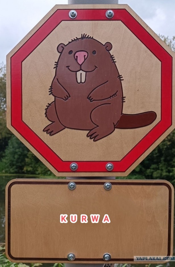 Знаки добра 2
